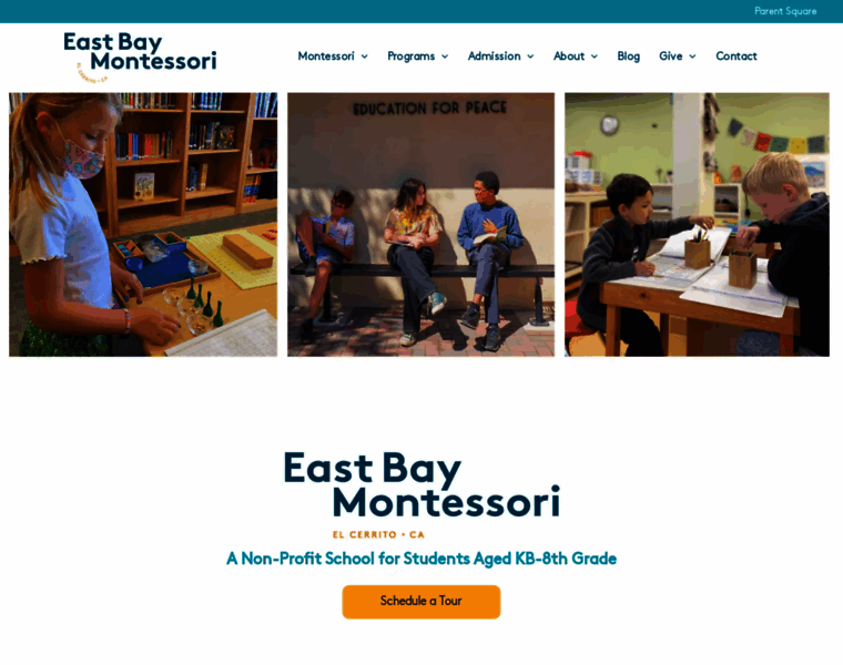 Montessorifamily.com thumbnail