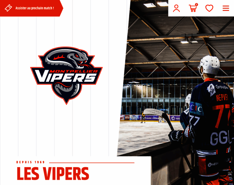 Montpellier-vipers.com thumbnail