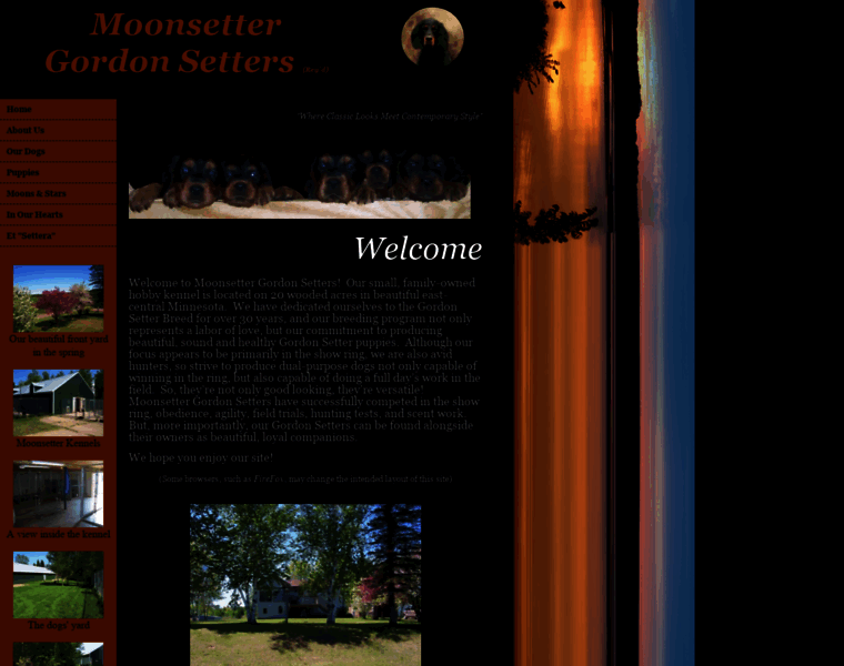 Moonsetter.com thumbnail
