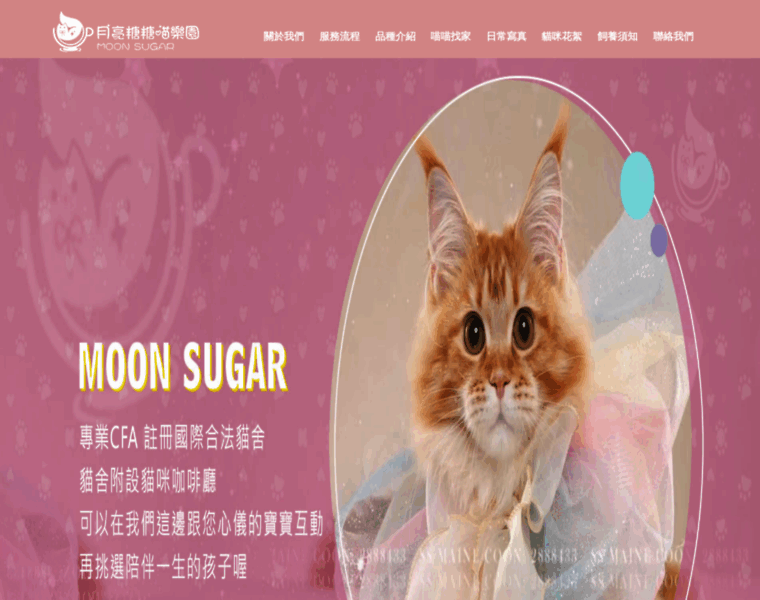 Moonsugar.com.tw thumbnail