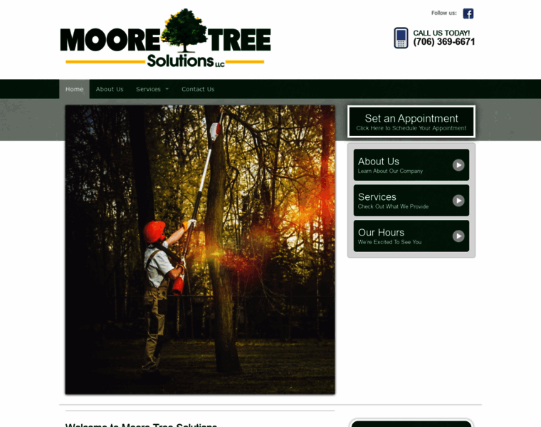 Mooretreesolutions.com thumbnail