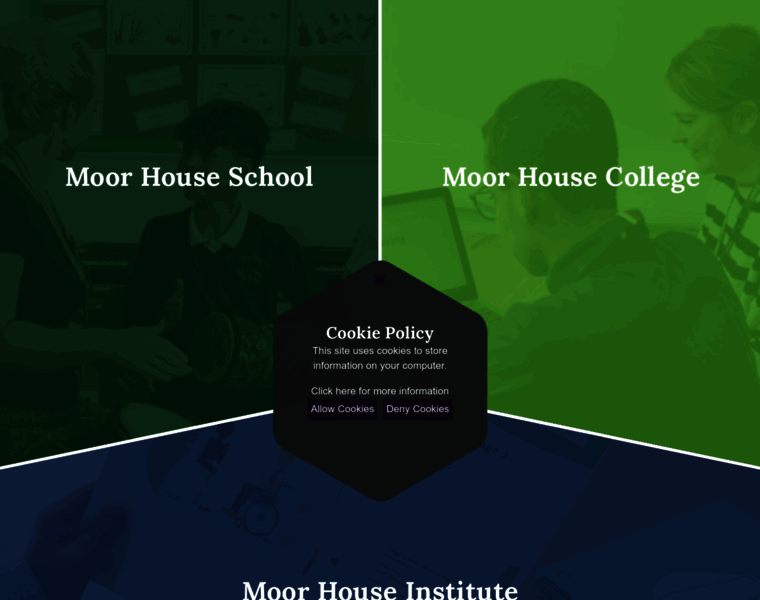 Moorhouseschool.co.uk thumbnail