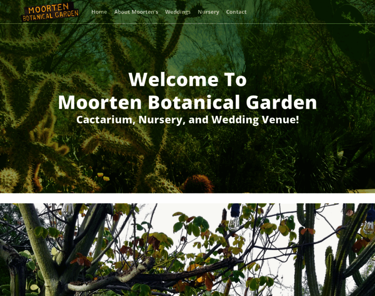 Moortenbotanicalgarden.com thumbnail