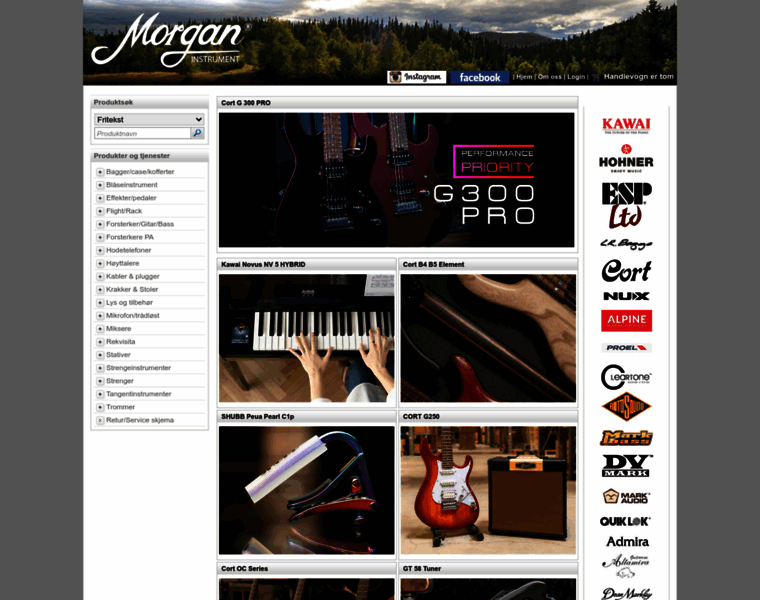 Morganinstrument.com thumbnail