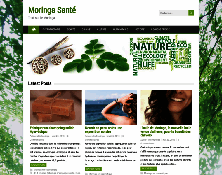 Moringa-sante.fr thumbnail
