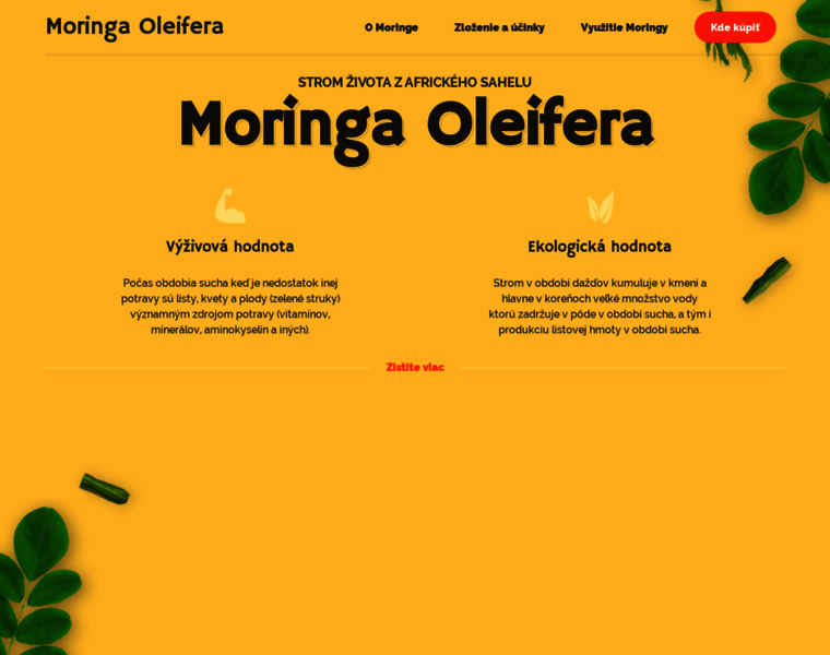 Moringa.sk thumbnail
