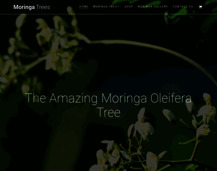 Moringatrees.org thumbnail