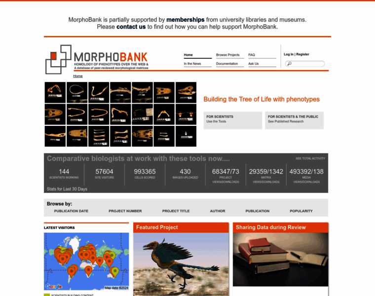Morphobank.org thumbnail