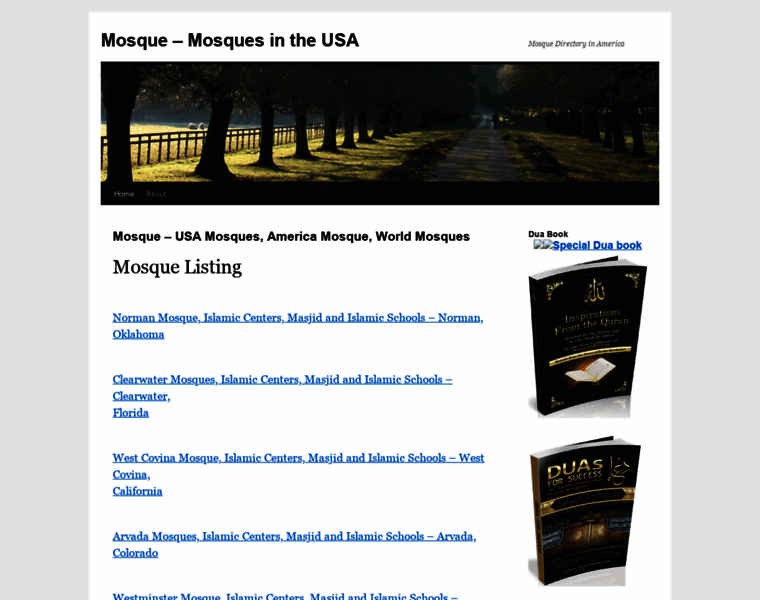 Mosques-usa.com thumbnail