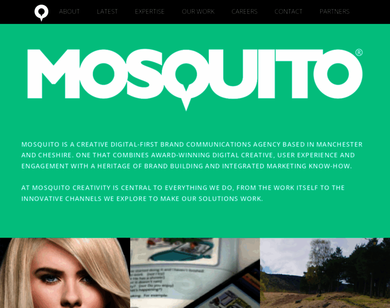 Mosquitodigital.co.uk thumbnail