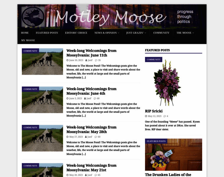 Motleymoose.com thumbnail