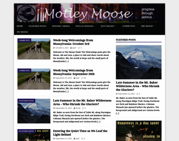 Motleymoose.net thumbnail