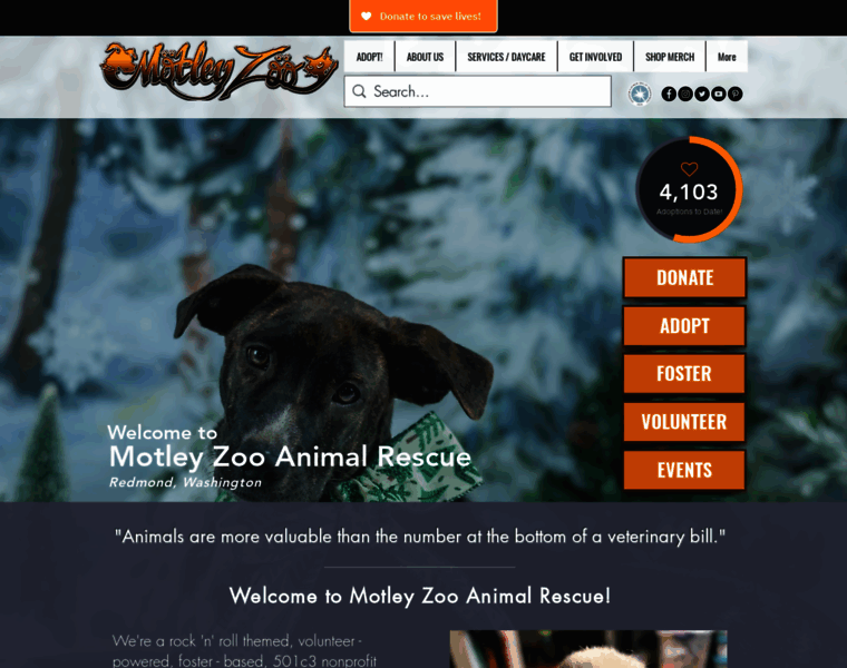 Motleyzoo.org thumbnail