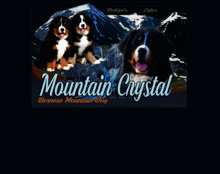 Mountaincrystal.hu thumbnail