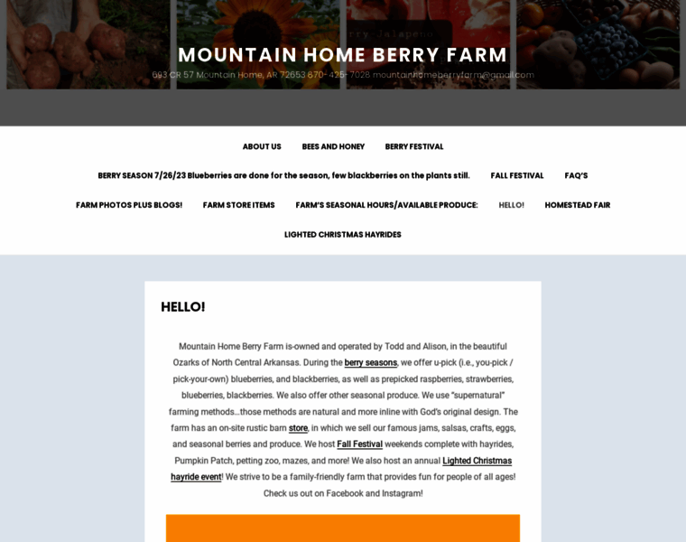 Mountainhomeberryfarm.com thumbnail