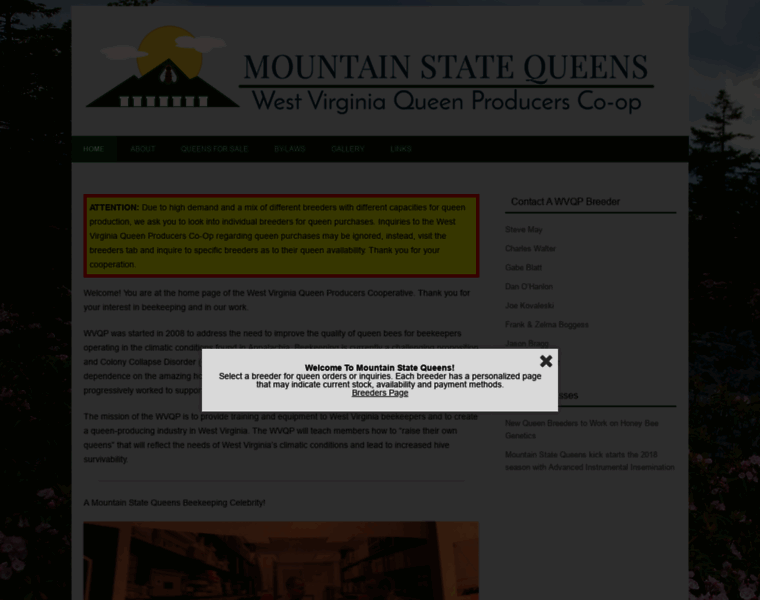 Mountainstatequeens.com thumbnail