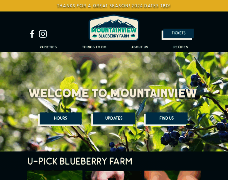 Mountainviewblueberryfarm.com thumbnail