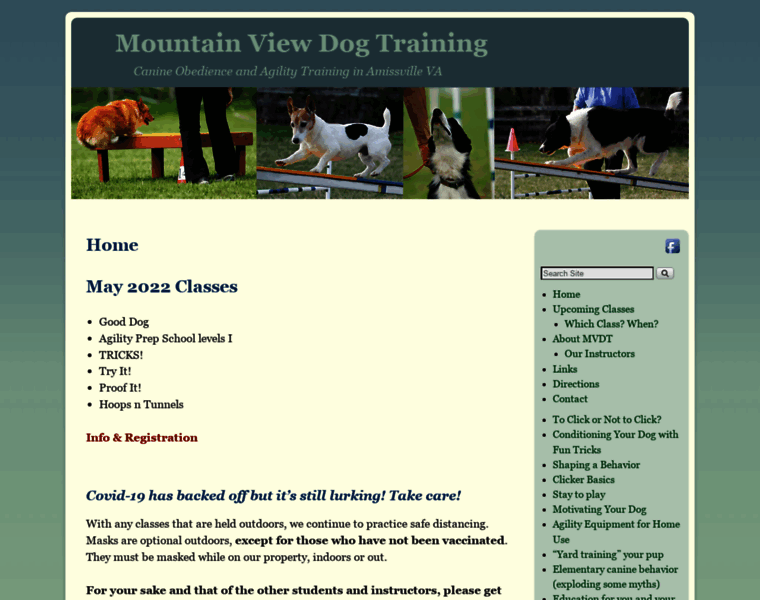 Mountainviewdogtraining.com thumbnail