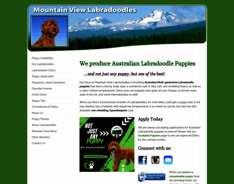 Mountainviewlabradoodles.com thumbnail