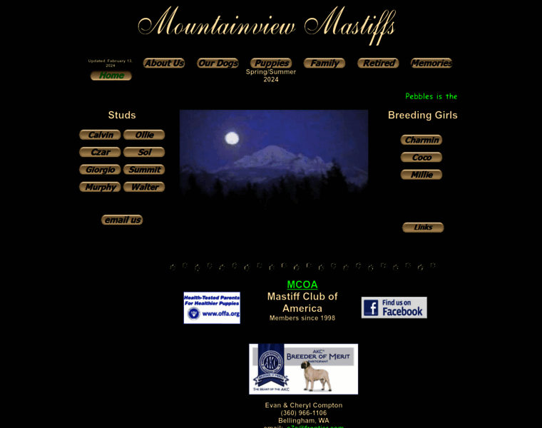 Mountainviewmastiffs.com thumbnail