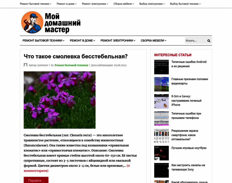 Moyhomemaster.ru thumbnail