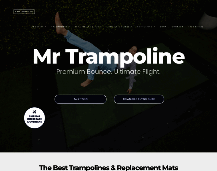 Mrtrampoline.com.au thumbnail