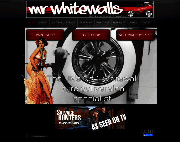 Mrwhitewalls.com thumbnail