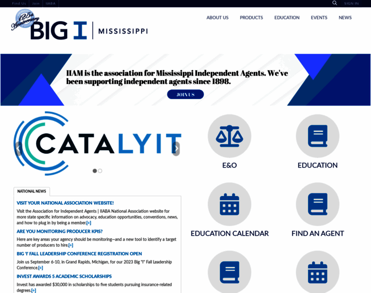 Msagent.org thumbnail