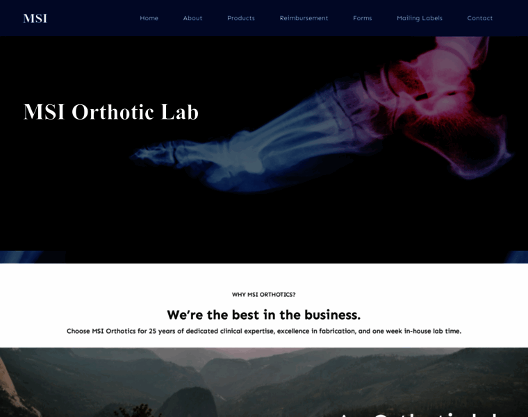 Msiorthotics.com thumbnail
