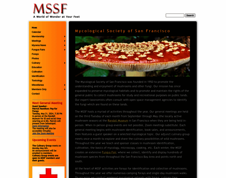 Mssf.org thumbnail