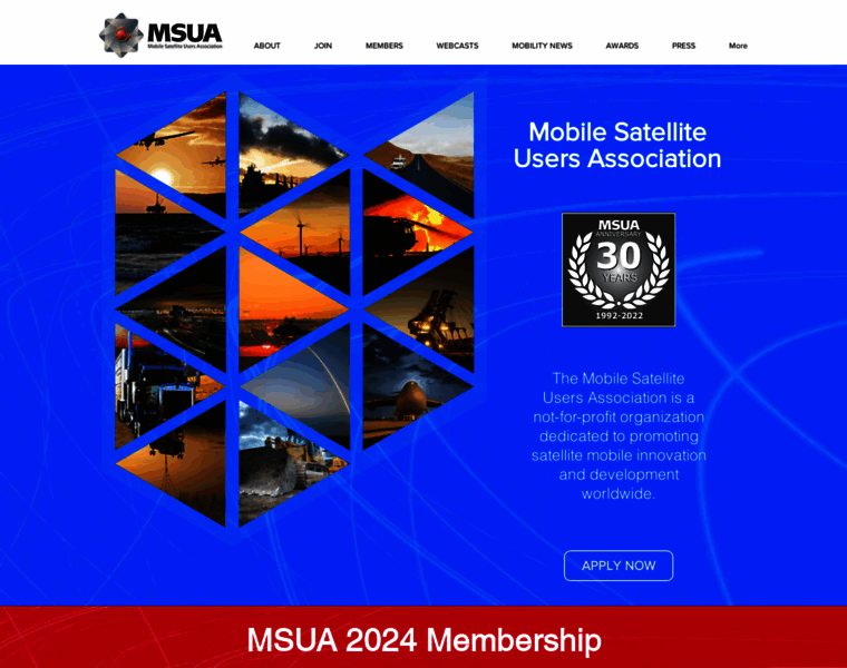 Msua.org thumbnail