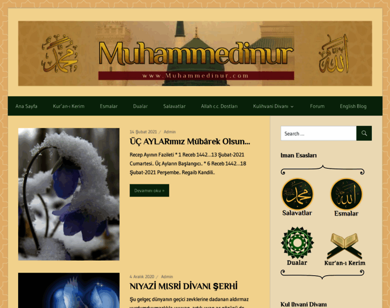 Muhammedinur.com thumbnail