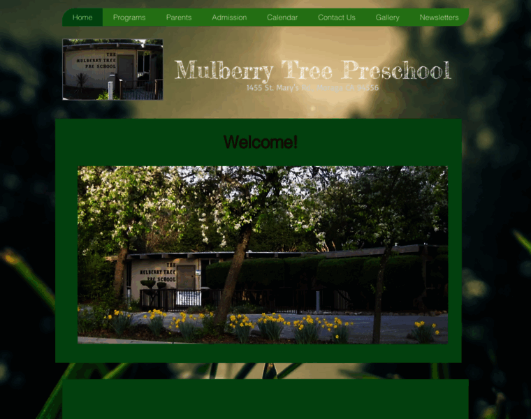 Mulberrytreepreschool.com thumbnail Mulberrytreepreschool.com thumbnail