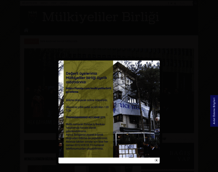 Mulkiye.org.tr thumbnail
