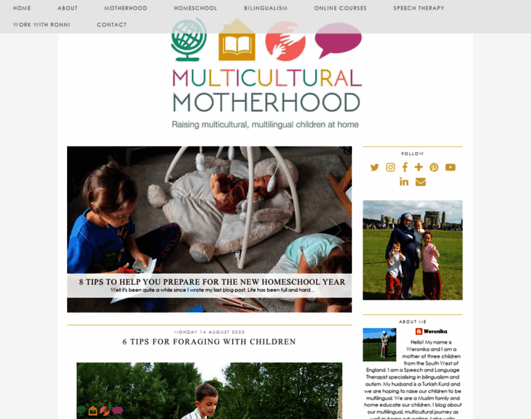 Multiculturalmotherhood.com thumbnail