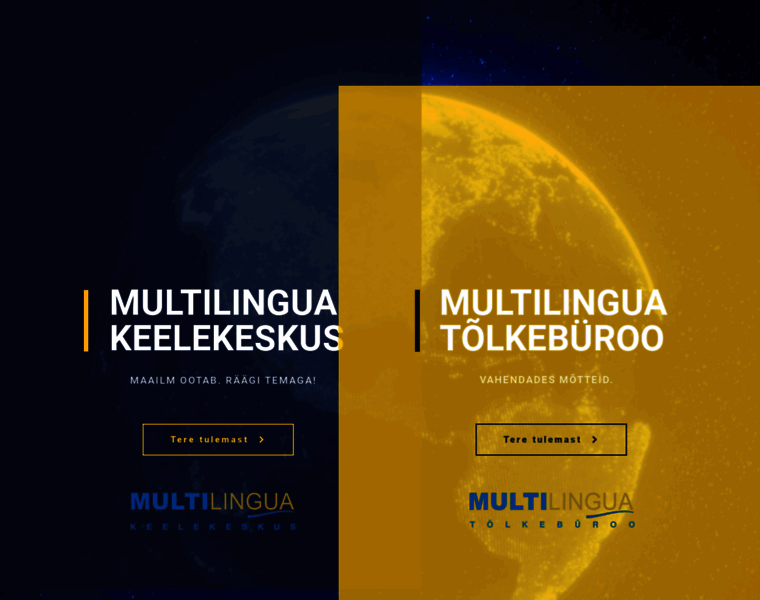 Multilingua.ee thumbnail