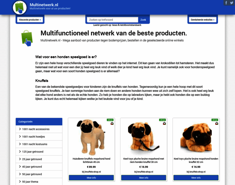 Multinetwerk.nl thumbnail