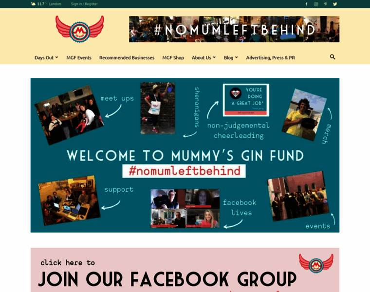 Mummysginfund.co.uk thumbnail