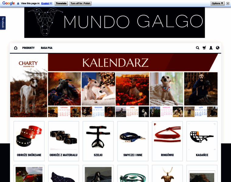 Mundogalgo.com thumbnail