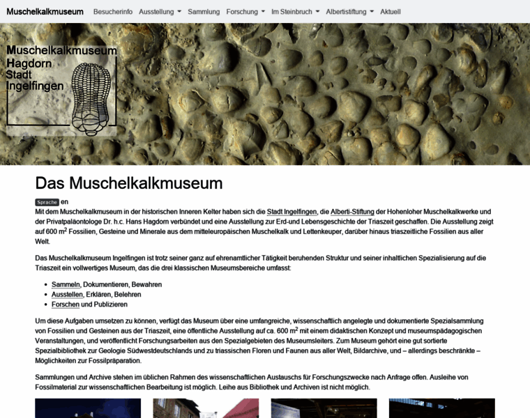 Muschelkalkmuseum.org thumbnail