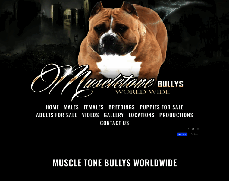 Muscletonebullys.com thumbnail