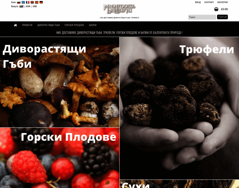Mushroom-bulgaria.com thumbnail