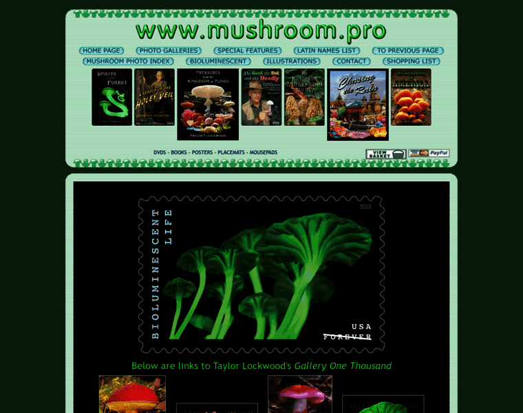Mushroom.pro thumbnail