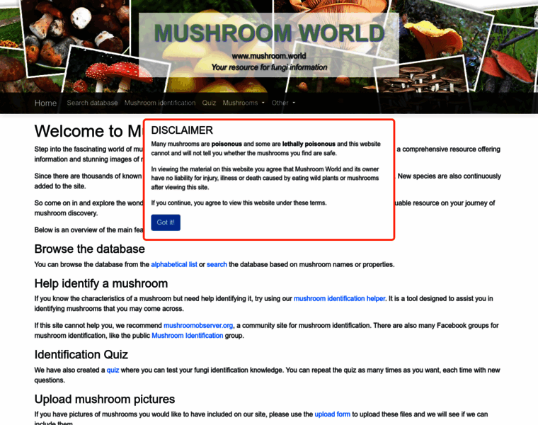 Mushroom.world thumbnail