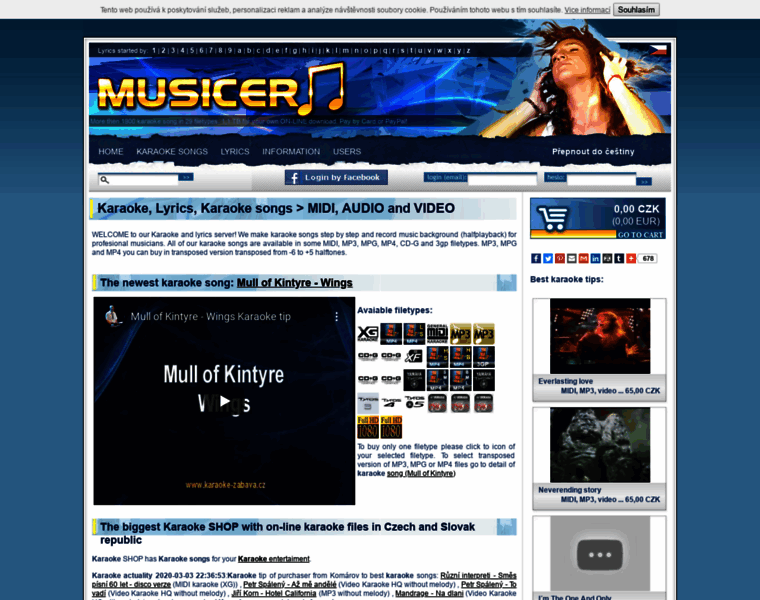 Musicer.net thumbnail