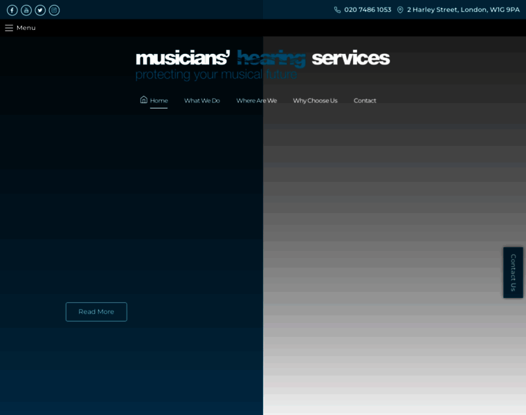 Musicianshearingservices.co.uk thumbnail