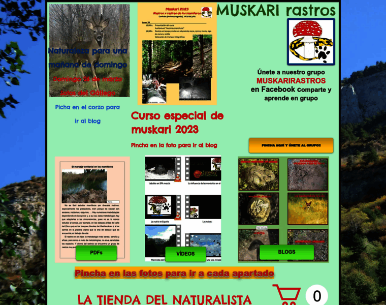 Muskarirastros.com thumbnail