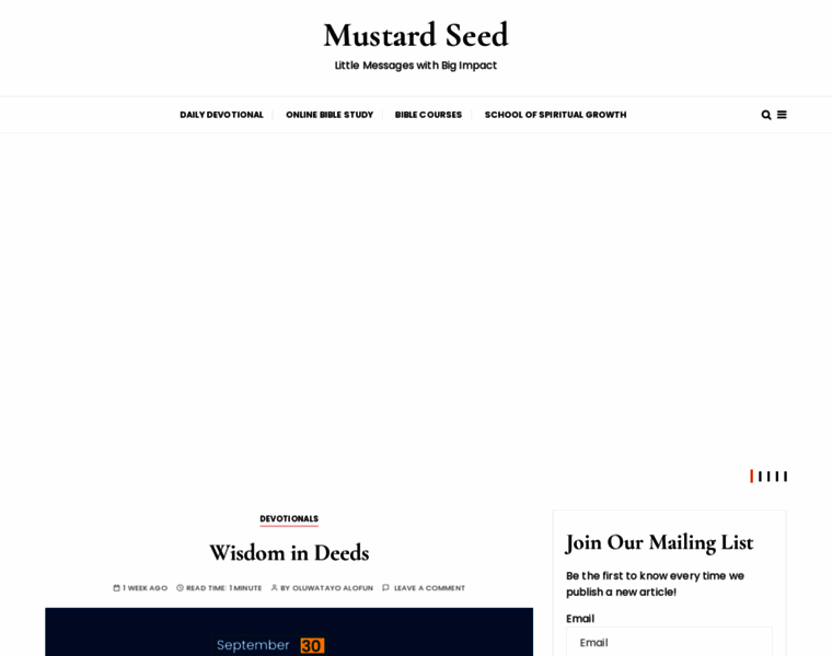 Mustardseed.com.ng thumbnail