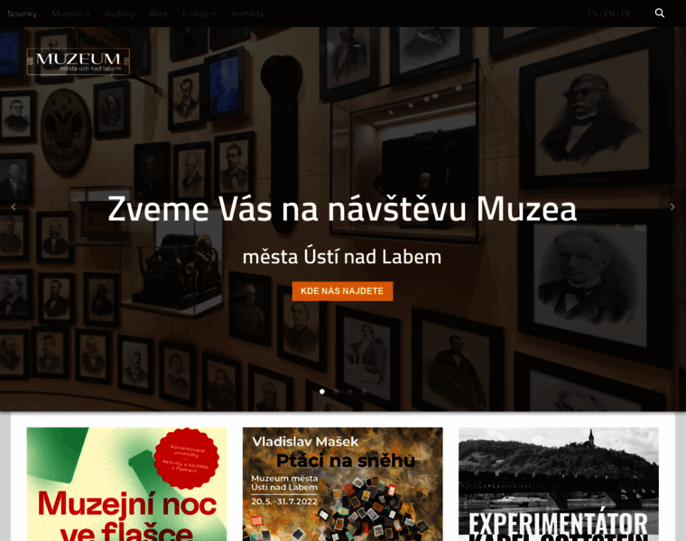 Muzeumusti.cz thumbnail