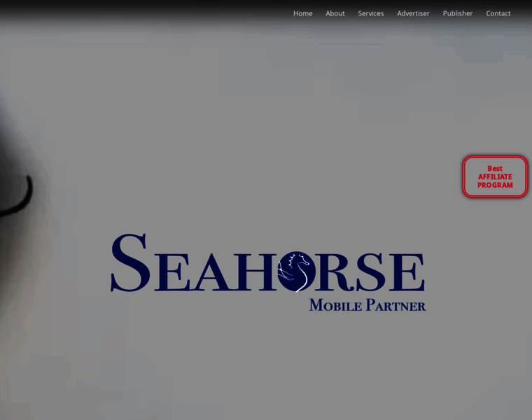 My-seahorse.com thumbnail